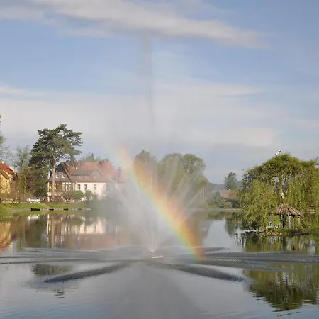 Nectar Pond Daire Kudowa-Zdroj